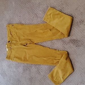 Pilcro and the Letterpress Mustard Pants